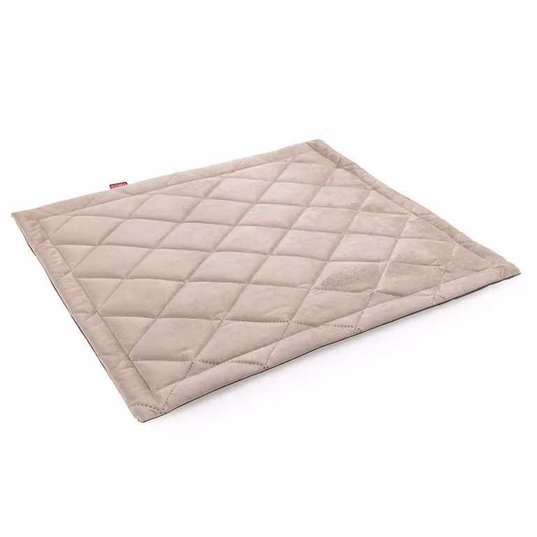 BOUTIQUE ZOO Morbido tappetino per cani in finto velluto - Comodo lettino antiscivolo per cani, cuccia per cani, tappetino per animali domestici, velluto beige, M: 60 x 80 cm