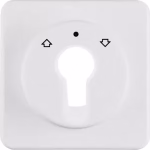 Berker 151819 Elemento centrale per interruttore a chiave/pulsante per tapparelle, bianco polare, lucido, da incasso IP