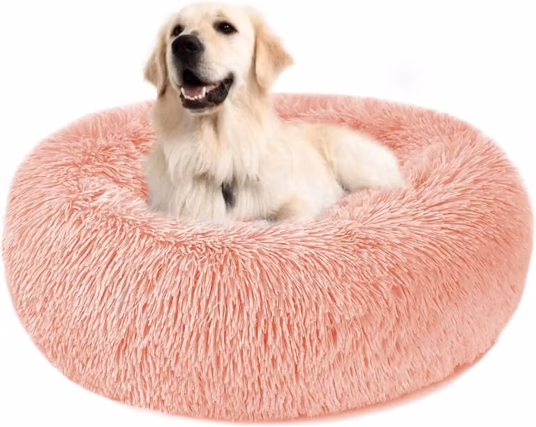 Cuccia per cani piccola, cuscino a forma di ciambella in peluche, cuccia lavabile per cani