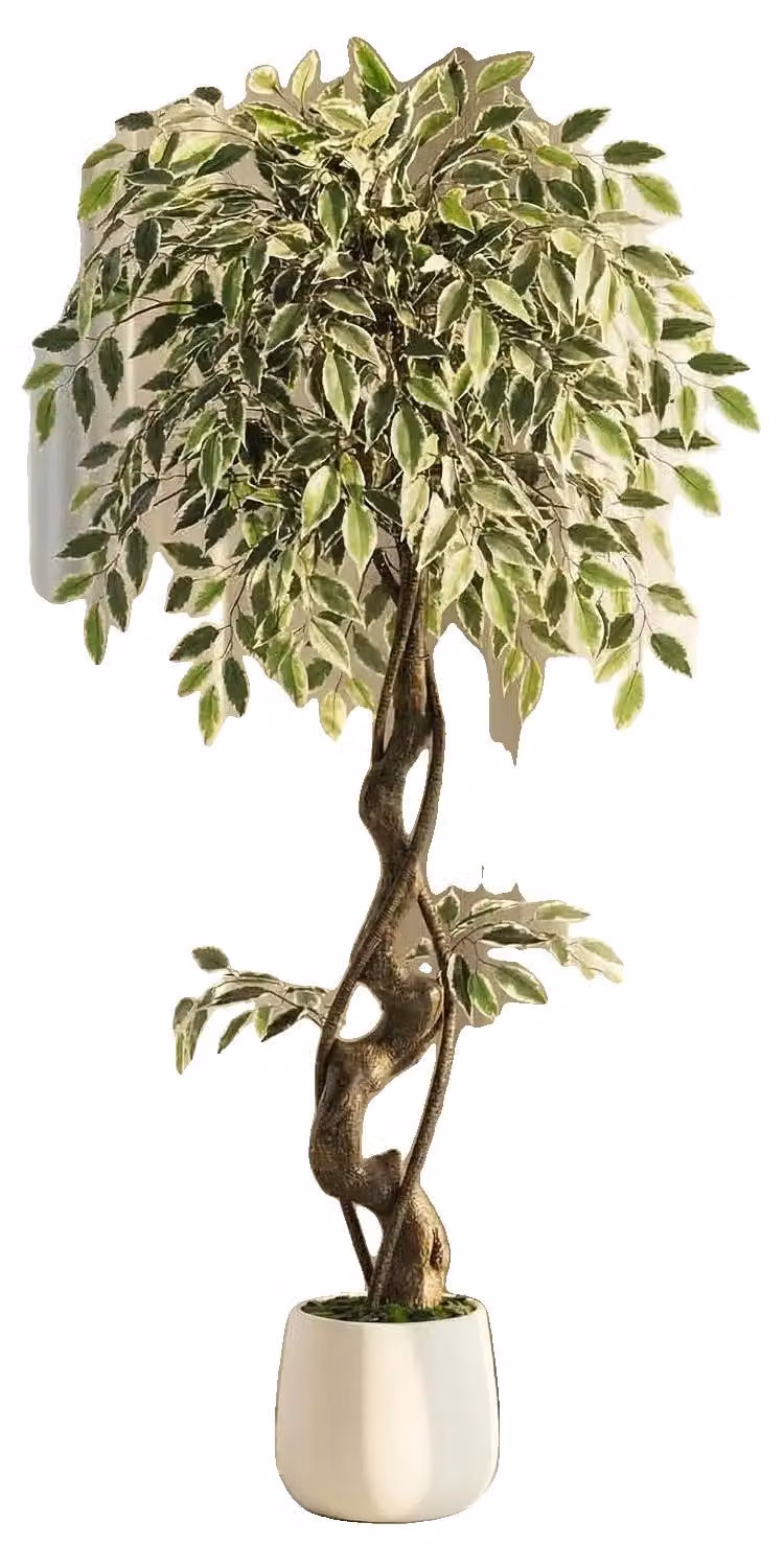 Ficus artificiale, aspetto realistico, facile da curare, altezza 120 cm