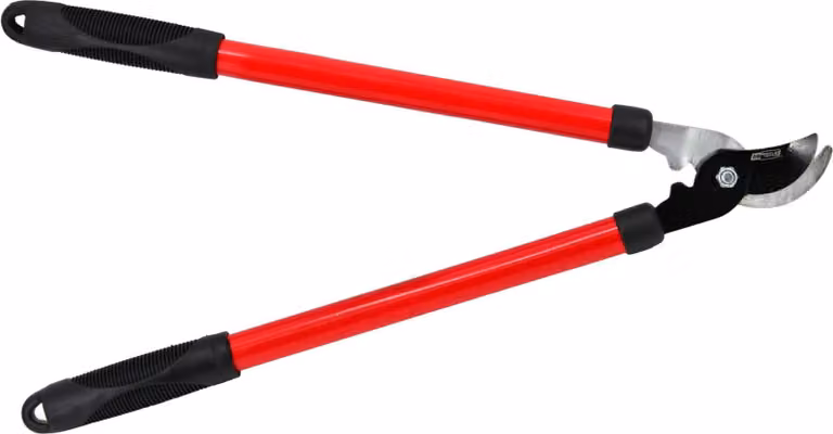 Awtools Potatore di rami 540Mm 20Mm