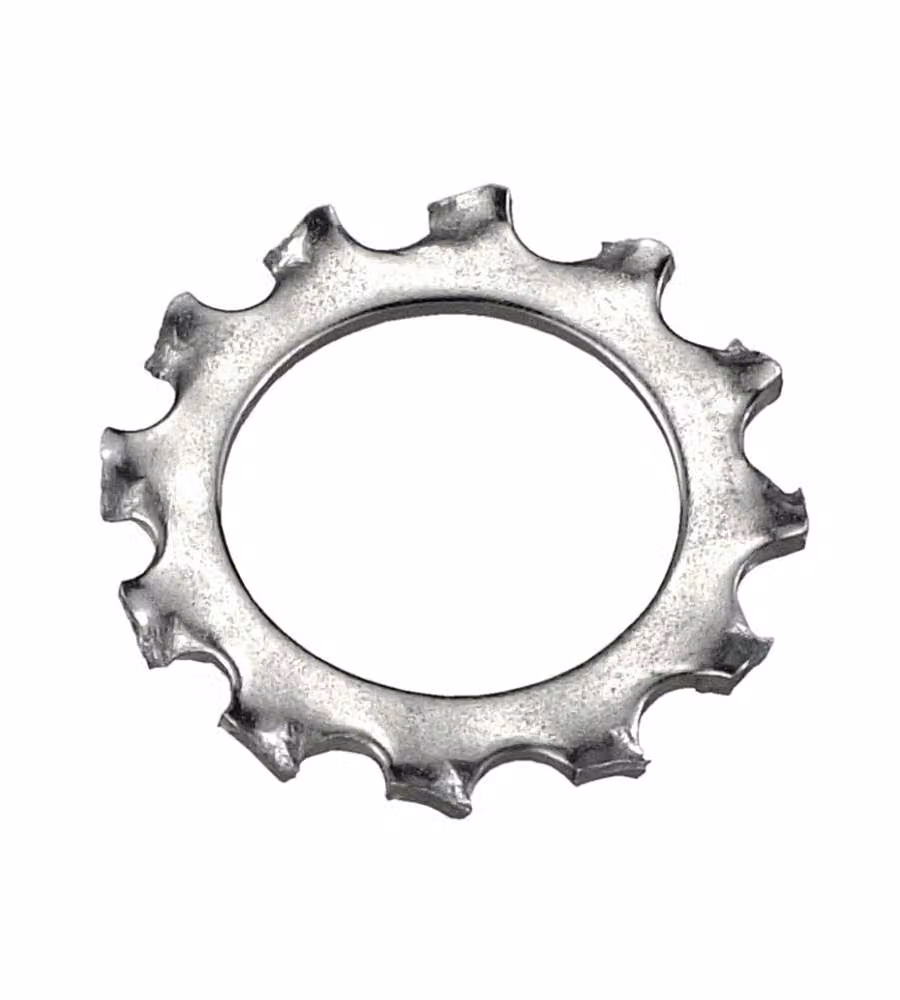 Rondelle dentate 5,3 x 10 - 100 pz.