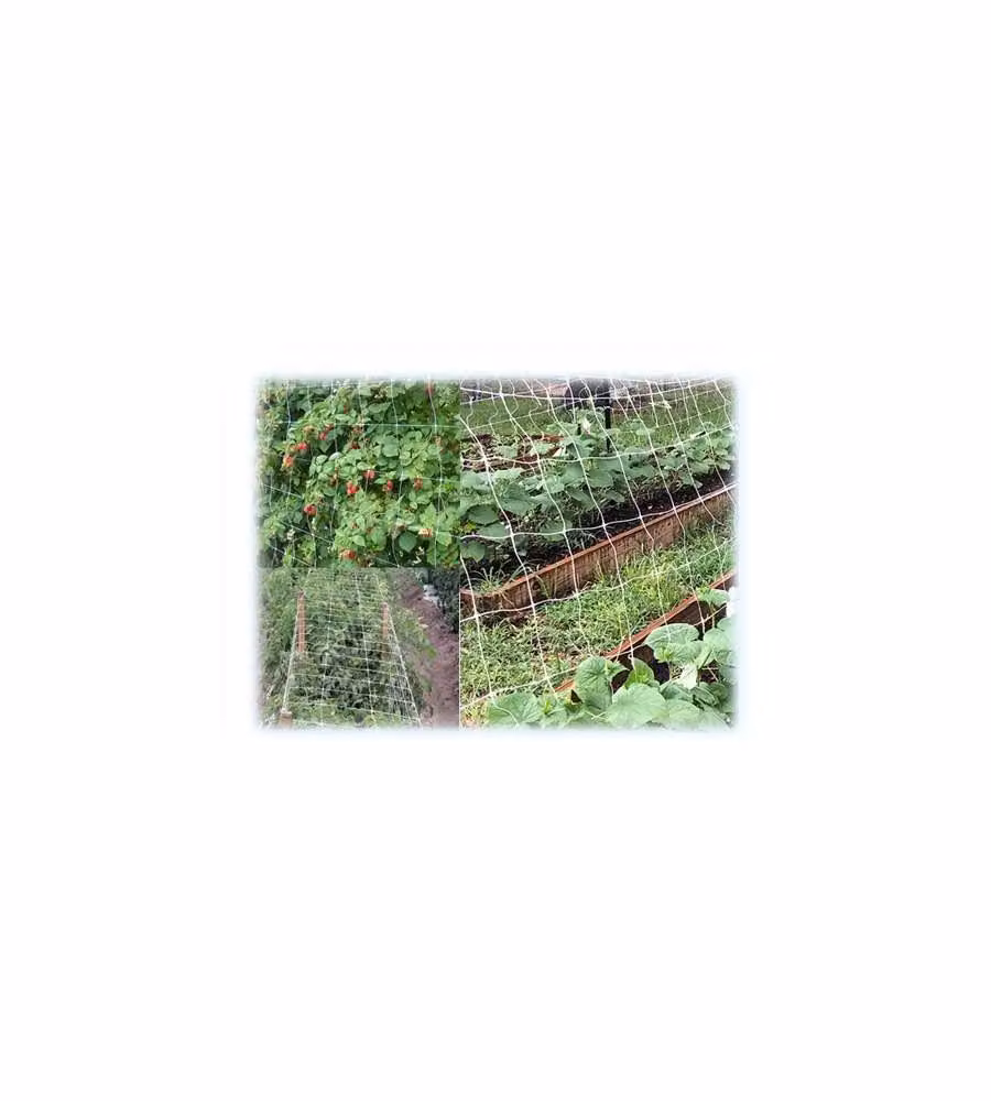 Rete Sostengreen H200 Rt. Ml1000