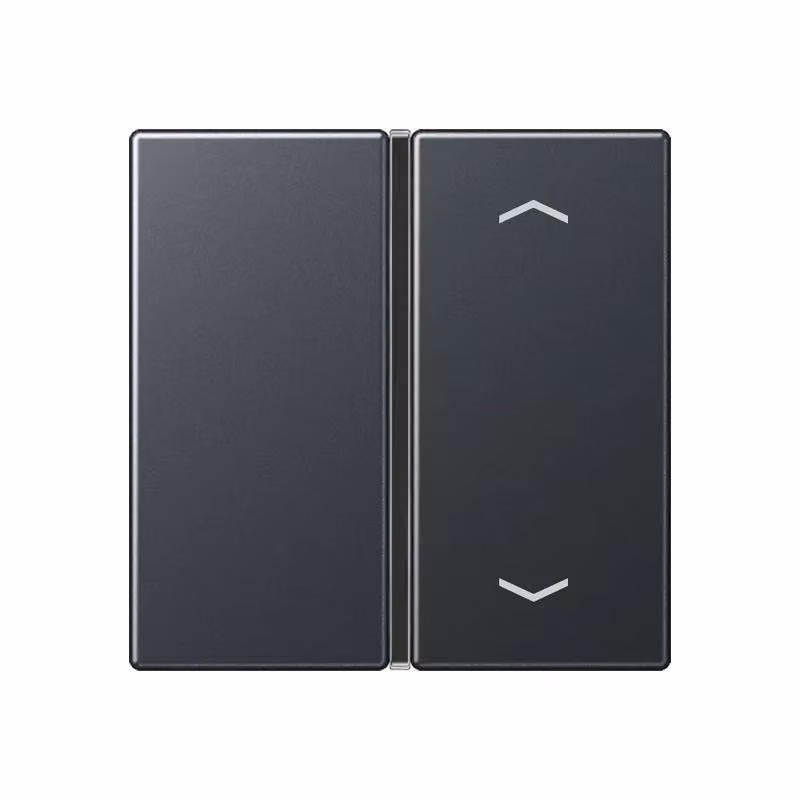 Jung A401TSAPANM Pulsante singolo con simboli, antracite opaco