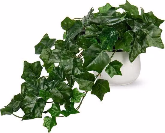 Pianta decorativa in Vetroceramica in stile Monstera – Mini pianta in vaso decorativa per interni ed esterni – Pianta ornamentale perfetta per il soggiorno, l'ufficio, il bagno e la sala da pranzo