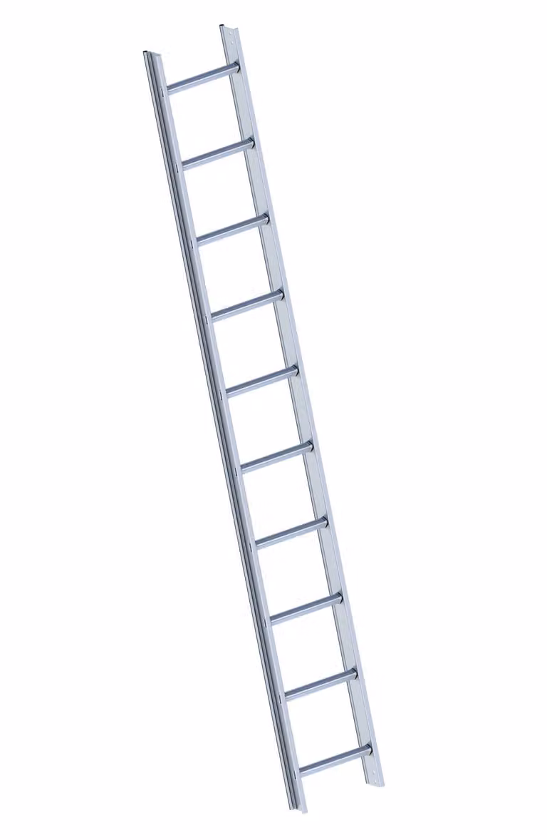 Layher 1051 Scala da tetto in alluminio a 10 pioli