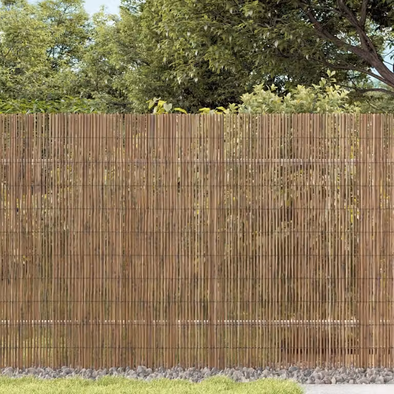 Maison Exclusive - Recinzione per giardino, 300x100 cm, realizzata in canne