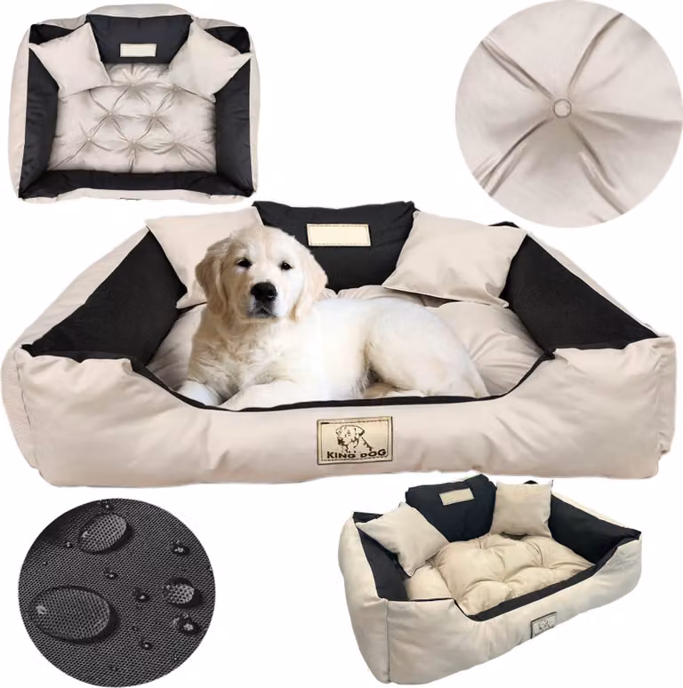 Cuccia per cani, divano impermeabile, 130 x 105 cm, spazio per il nome, lettiera, cuscini, divanetto, divano, recinto, beige