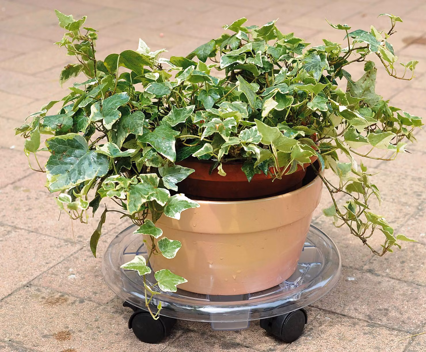 Carrello in plastica classico, 30 cm, con 4 ruote, ideale per giardinaggio e campeggio