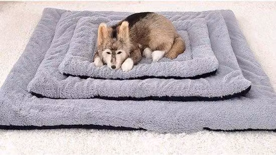 Cuscino per cani da divano - Microfibra beige