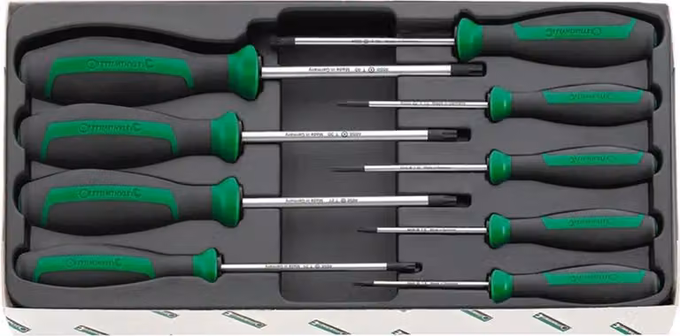Set di cacciaviti Stahlwille TORX DRALL+ 9 pz.