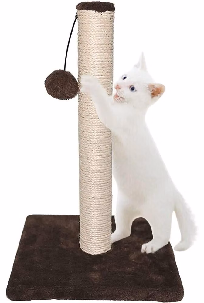 RAM ONLINE: Albero per gatti, grande, 42 cm, color marrone