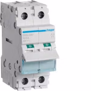 Interruttore 100 A, 2 contatti normalmente aperti, 400 V CA, 2 poli