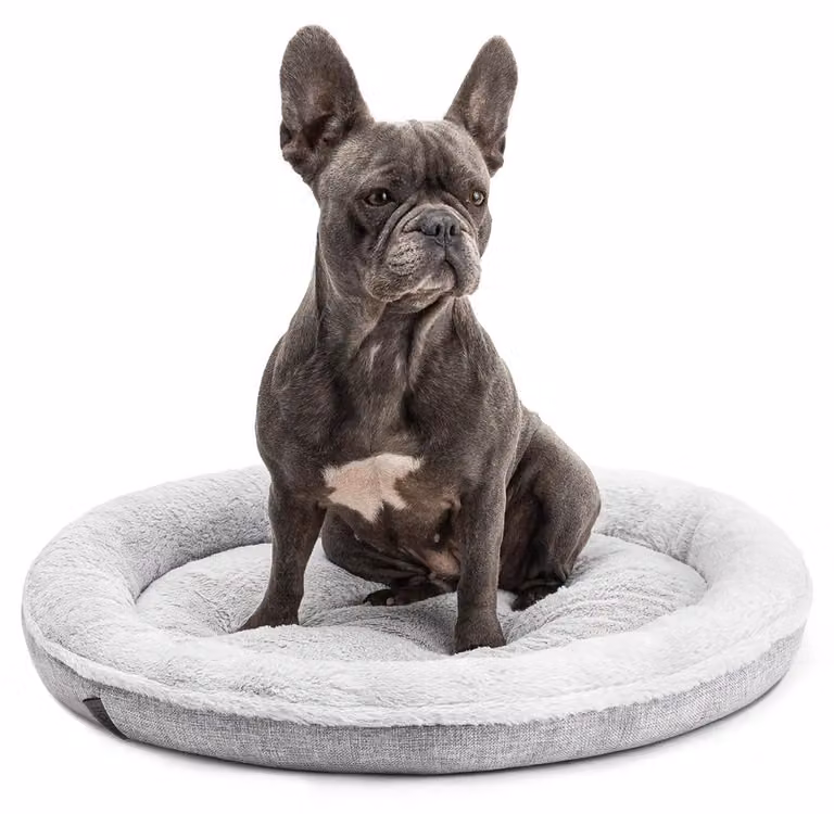 cuccia per cani lionto in morbido design a ciambella con base in peluche e antiscivolo, rivestimento lavabile, diametro 65 cm, grigio