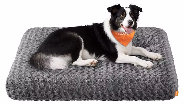 Cuccia per cani XL con imbottitura morbida | Grigio ardesia | 110x73x10 cm