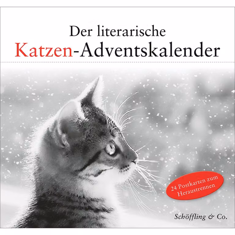Il calendario dell'Avvento letterario dei gatti