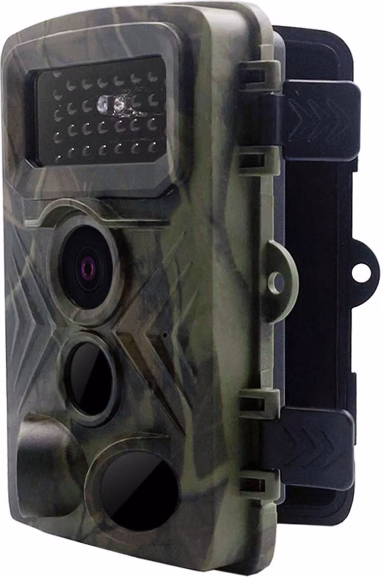 Telecamera multifunzionale per animali selvatici, 1080P, portatile, infrarossi, impermeabile IP54, osservazione diurna e notturna, 34 LED, senza batteria
