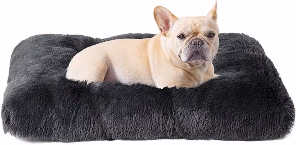 Azomor®: cuccia lavabile per cani di piccola taglia con imbottitura morbida e fondo antiscivolo