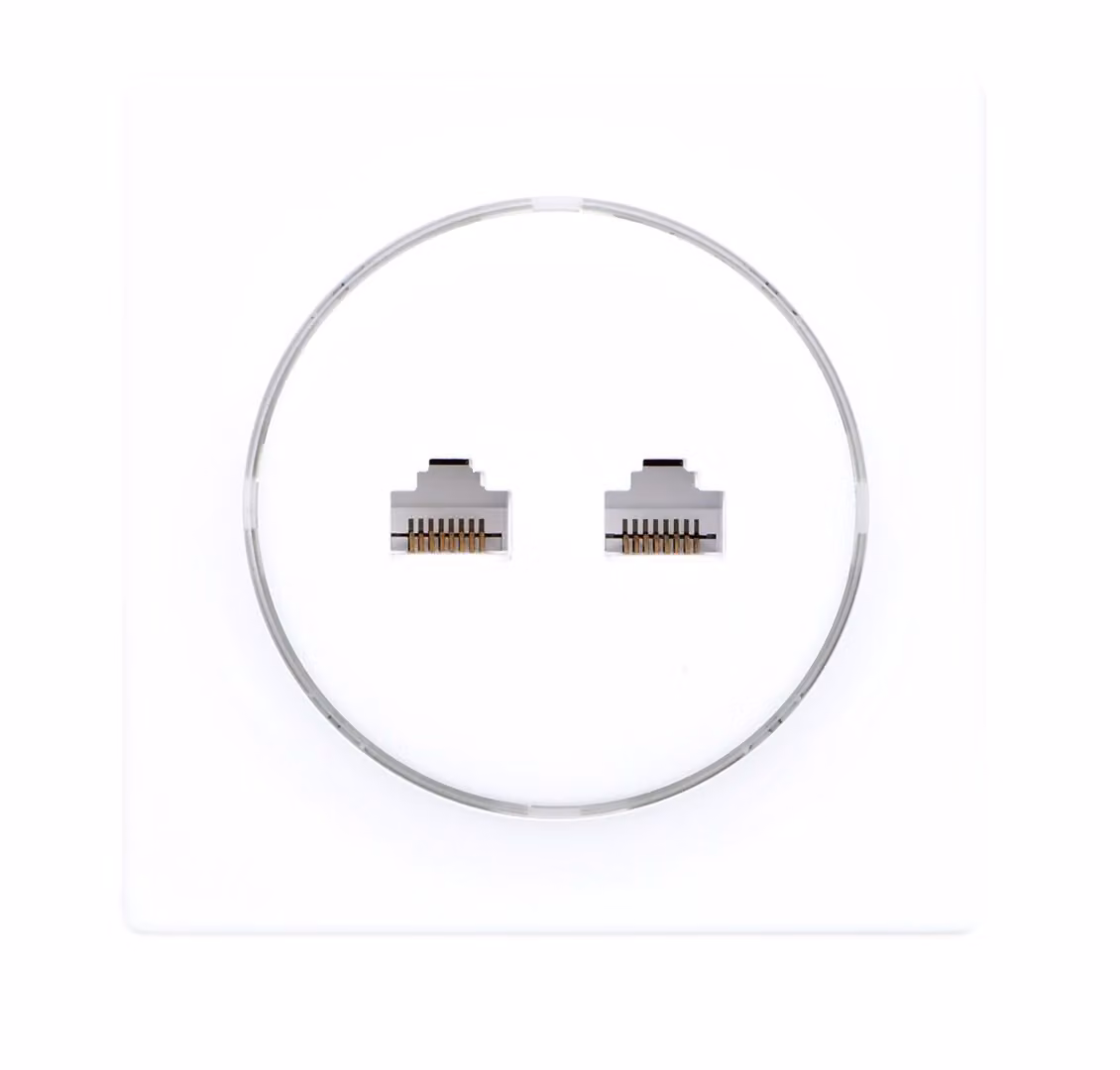 Fibaro Walli N socket-outlet 2 x RJ-45 White