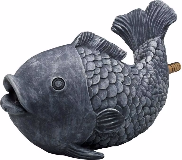 Pesce doccione dell'oasi