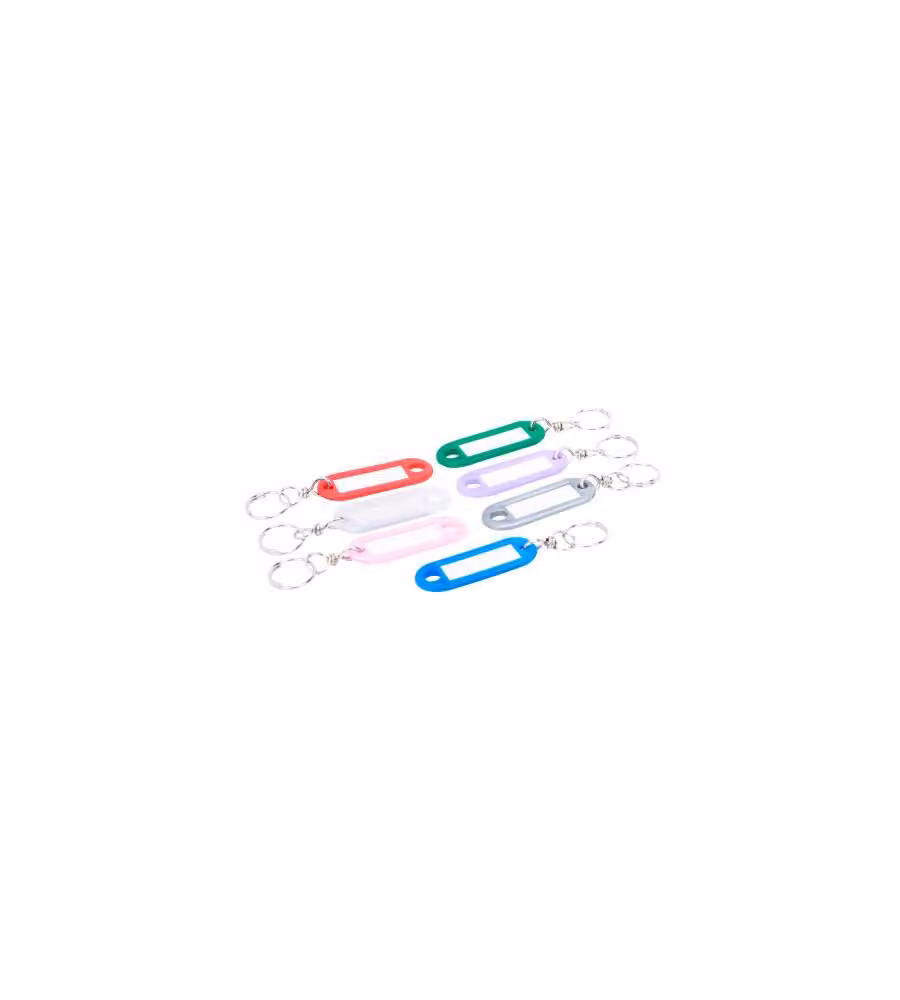 Sacar Targhette Portachiavi Colorate in Plastica con Anello Ferro 170x55 mm