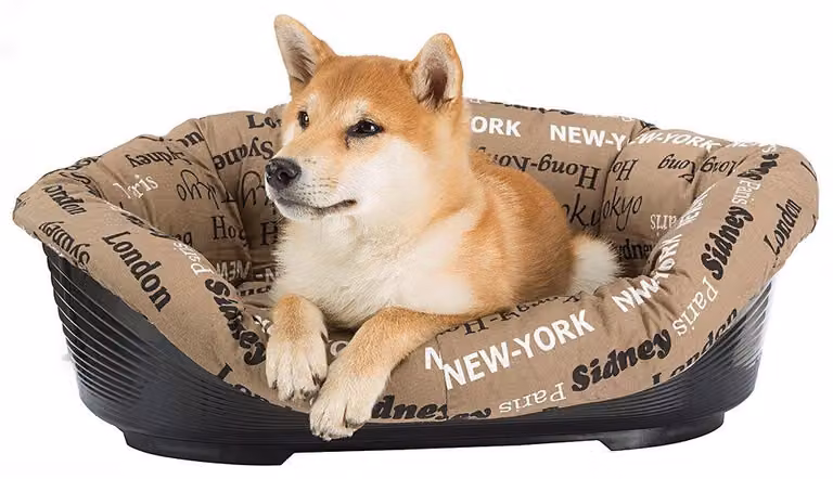 Cuccia per cani Ferplast modello SOFA' 8, con cuscino in cotone lavabile, ideale come lettino per cani