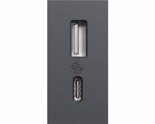 Presa USB nera con porte USB-A e USB-C