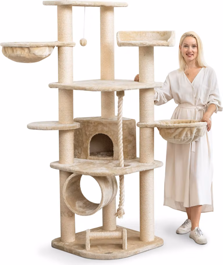 HAPPYPET Tiragraffi per gatti grande 181 cm di altezza - Albero per gatti ad arrampicata stabile, tronchi spessi con 11 cm, crema