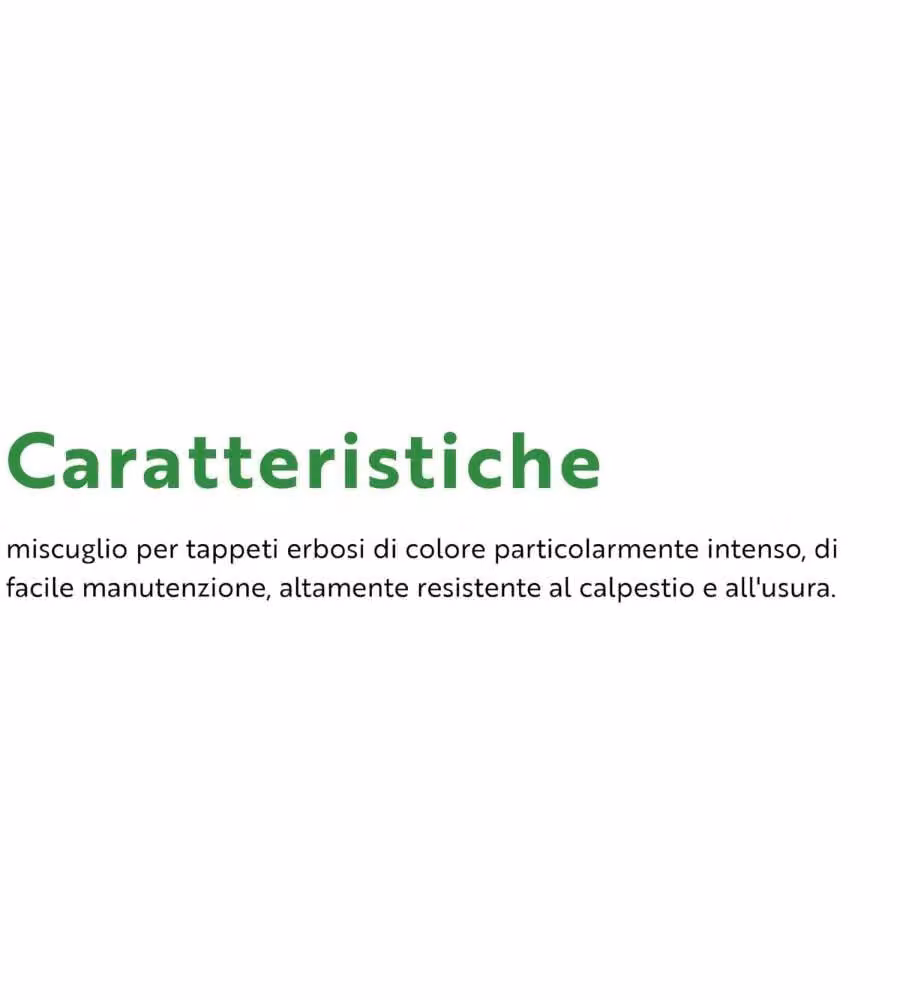 Flortis Kit sementi prato e concime organico 3 kg per 80 m² verde