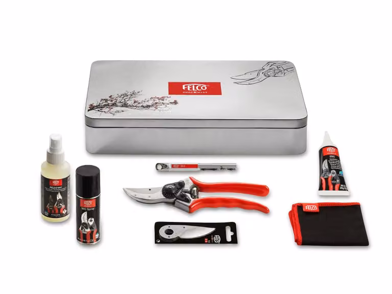 Set di assistenza e manutenzione FELCO Premium