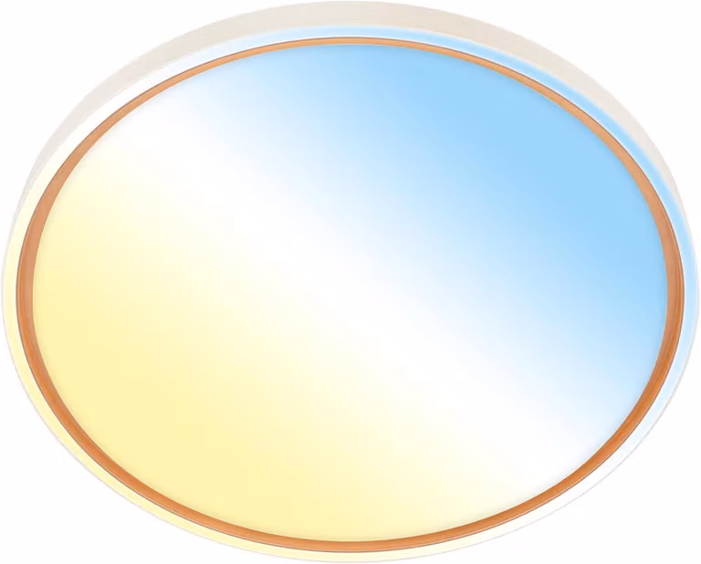 Briloner INA Plafoniera LED, dimmerabile, telecomando, regolabile da bianco caldo a bianco freddo, caffè, Ø49 x 6,5 cm