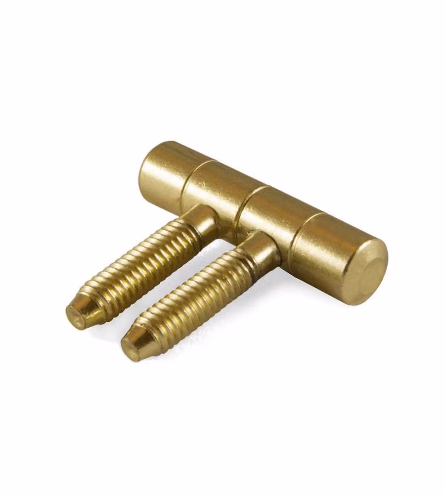 Coppia di cerniere per infissi Anuba in acciaio con finitura ottone, diametro 14 mm