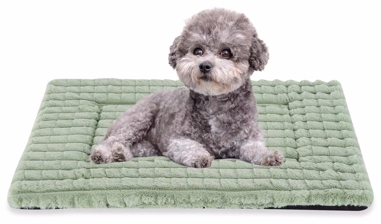 Cuccia per cani con imbottitura in memory foam antiscivolo, dimensioni 76 x 50 cm, lavabile, adatta a cani di piccola e media taglia