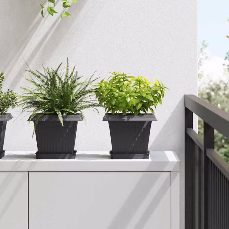 Set di 24 vasi per piante vidaXL in plastica nera per giardino e piante ornamentali