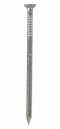 Chiodi Testa Piana Cavatorta 17X55