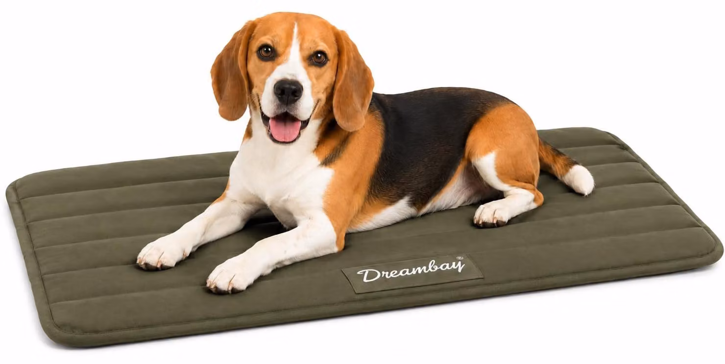 Cuccia per cani Flamingo - lettino ortopedico per gatti Dreambay® color verde oliva - ortopedico