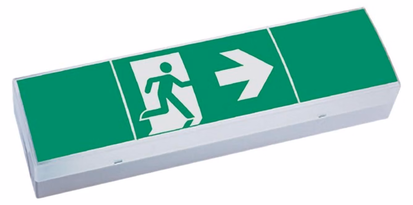Sistemi di illuminazione di emergenza Ceag Apparecchio per segnaletica di emergenza a LED StyleII51011LEDCG-S 40071356813
