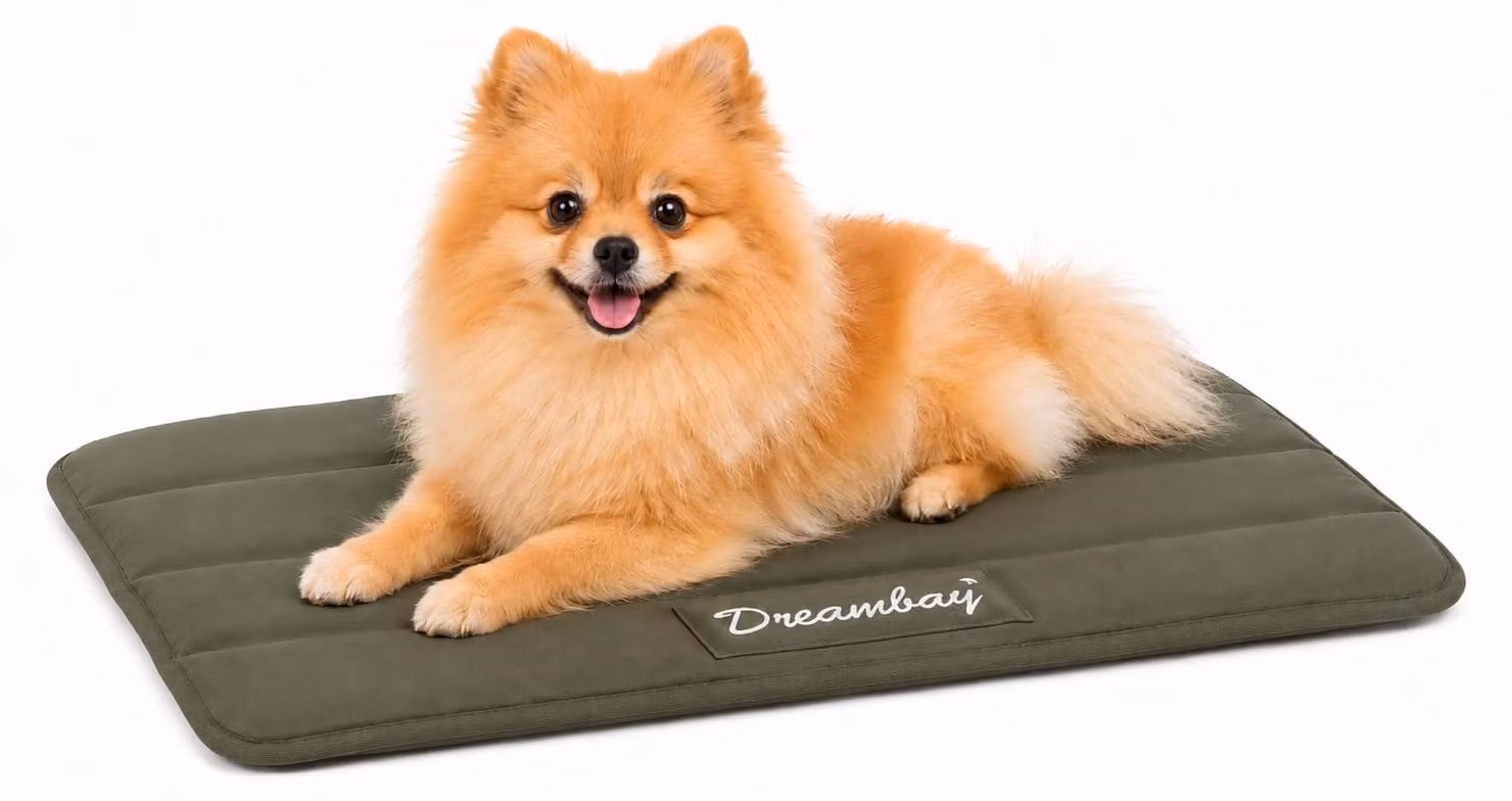 Cuccia per cani Flamingo - lettino ortopedico per gatti Dreambay® verde oliva - antiscivolo