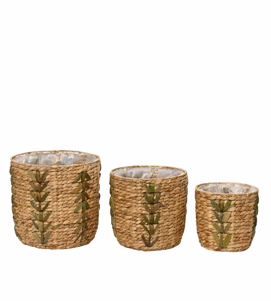 Cesta coprivaso media naturale e verde