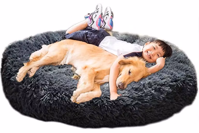 Cuccia ortopedica XXL, lavabile, rotonda, grigia, per cani di grossa taglia