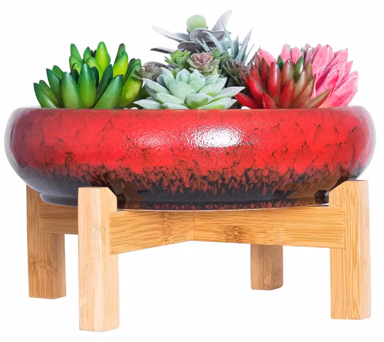 Elzusha - Vaso grande per bonsai, con supporto, ideale per piante grasse e cactus