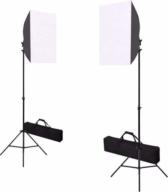 Set di 2 lampade da studio professionali in metallo nero con treppiede e altezza regolabile