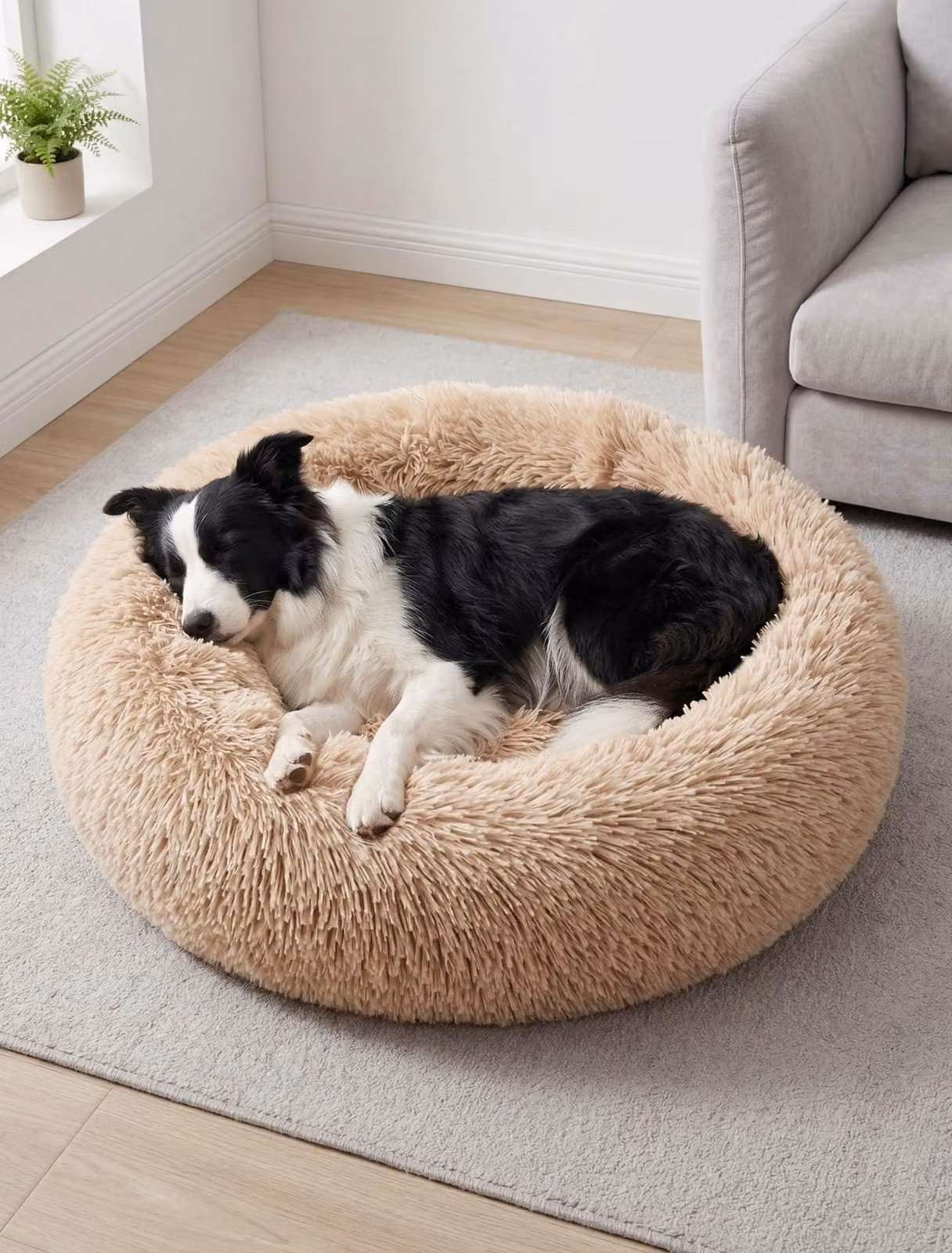 Cuccia anti-ansia a forma di ciambella, 80 cm, per animali domestici