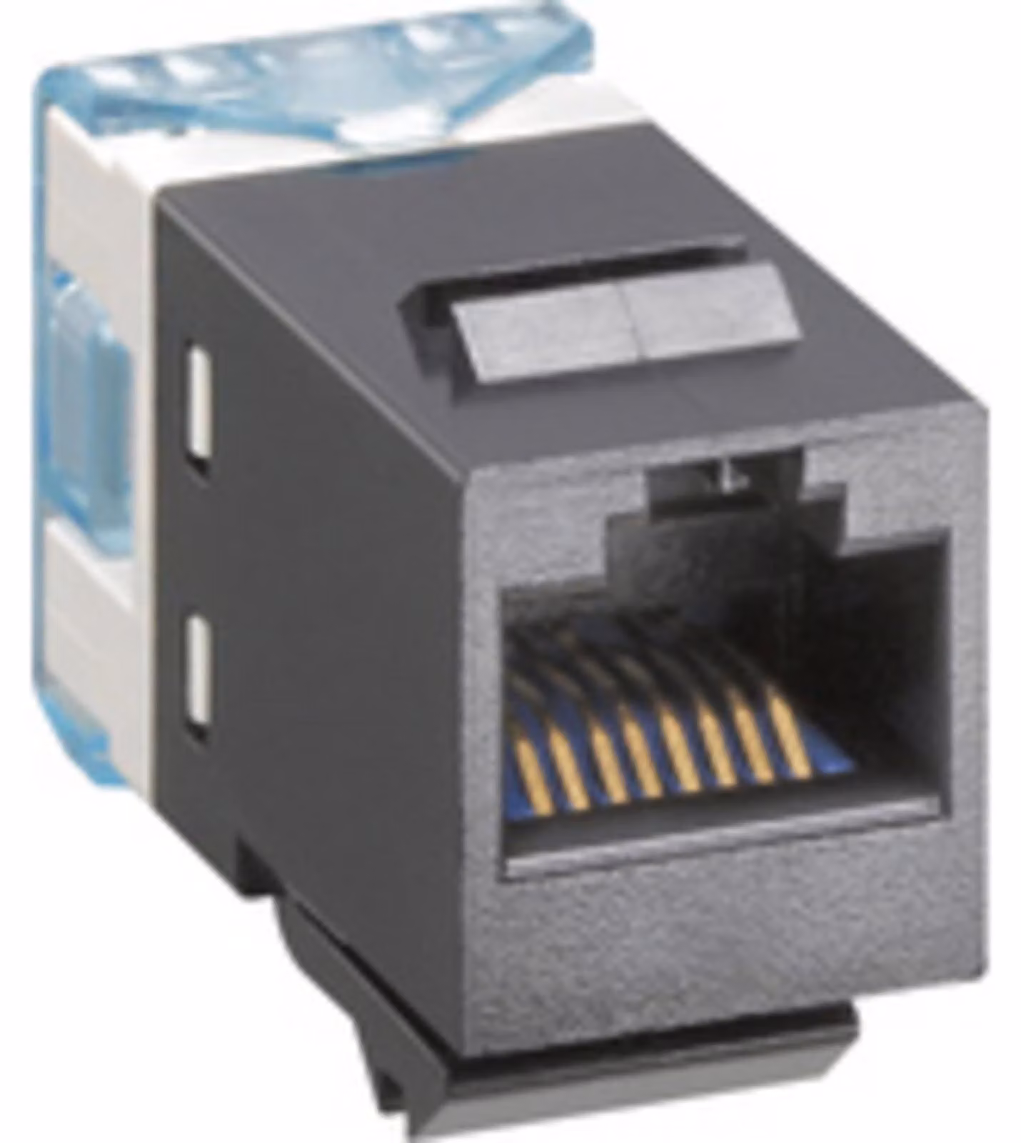 Gira Mod.Jack AMP Presa a 8 poli 004500