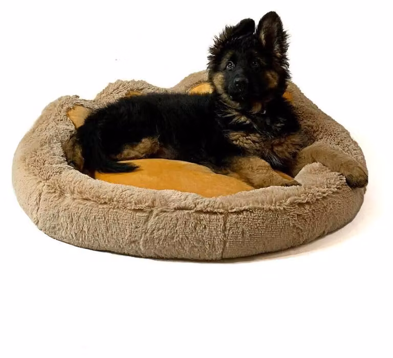 Solidchoice - Cuccia per cani, taglia XXL, color cammello