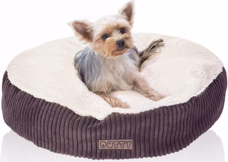 Accogliente letto in peluche Letto per cani Letto per gatti DOTTY - morbido cuscino rotondo in peluche per cani e gatti di piccola e media taglia Superficie di riposo M 60 cm