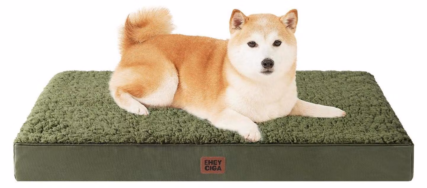 Cuccia ortopedica per cani, 91x68 cm, colore verde oliva, realizzata in tessuto sherpa, antiscivolo e lavabile