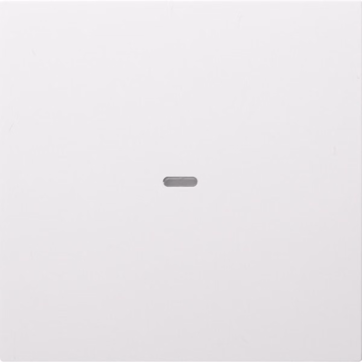 Berker KNX S.1/B.X COVER PWS (80960289)