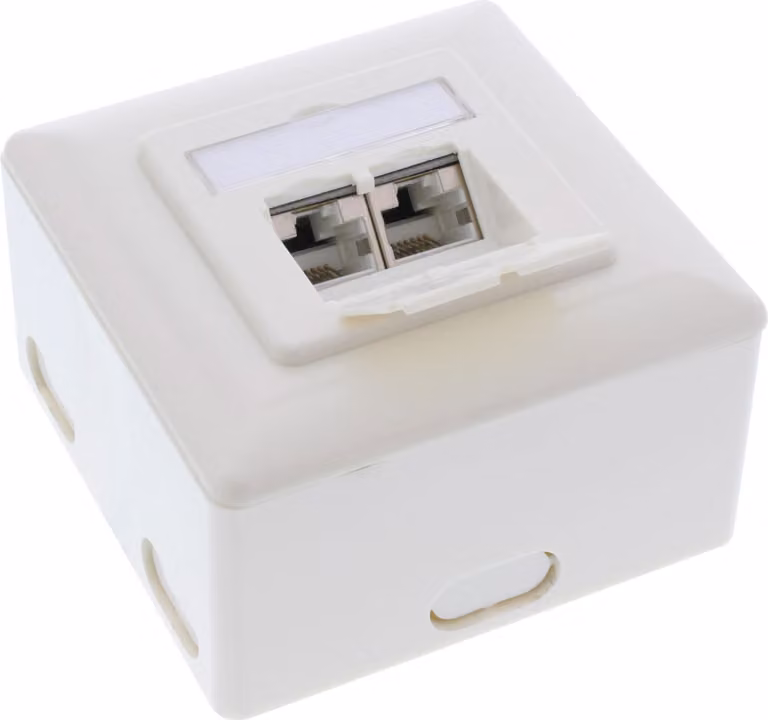 Scatola di giunzione InLine® Cat.6A, AP/UP 2x presa RJ45, RAL9010, bianco, orizzontale