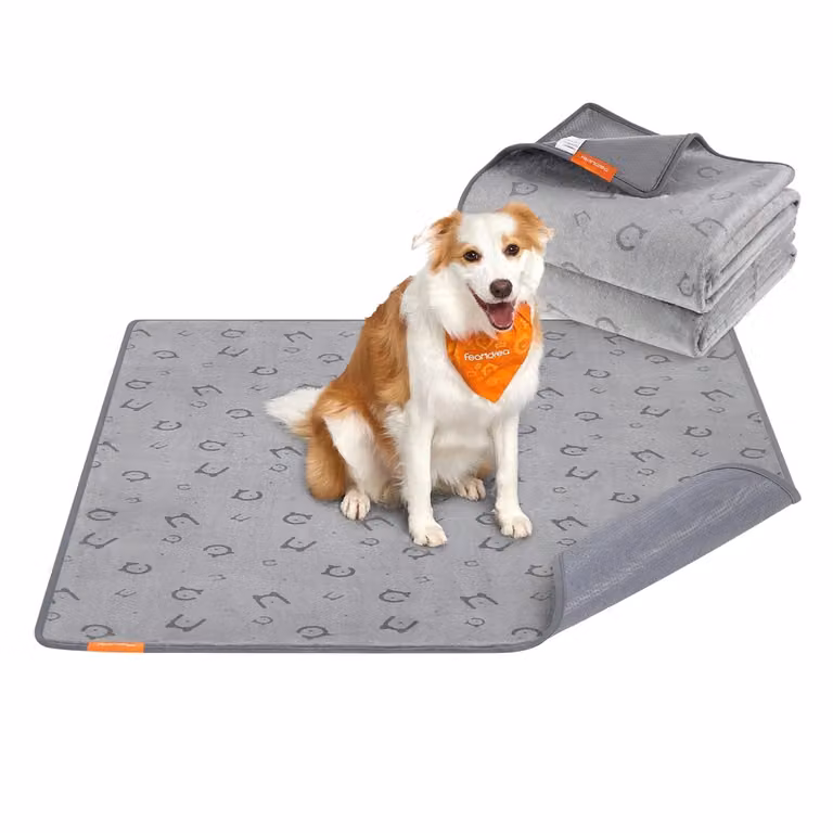Tappeti per Addestramento per Cani Riutilizzabili, XL (152L x 122l cm)